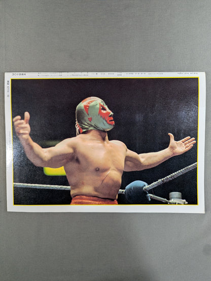 プロレスアルバム2 ミル・マスカラス(1刷)