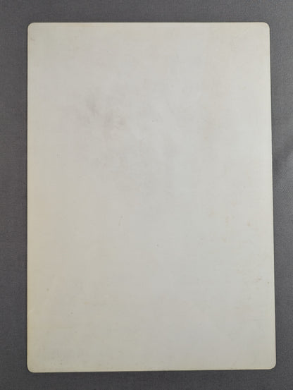 Stan Hansen Shitajiki (Pencil board)