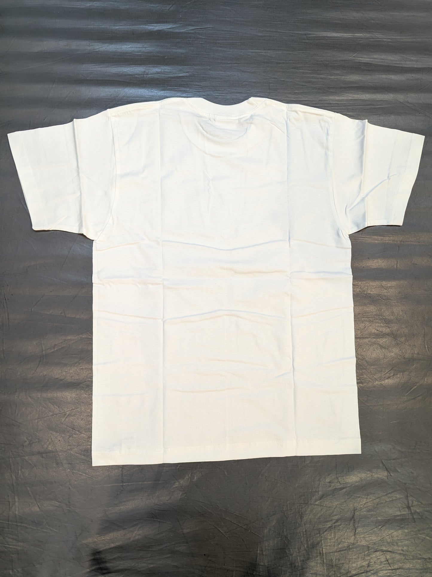 大日本プロレス「20th Anniversary」イラストTシャツ