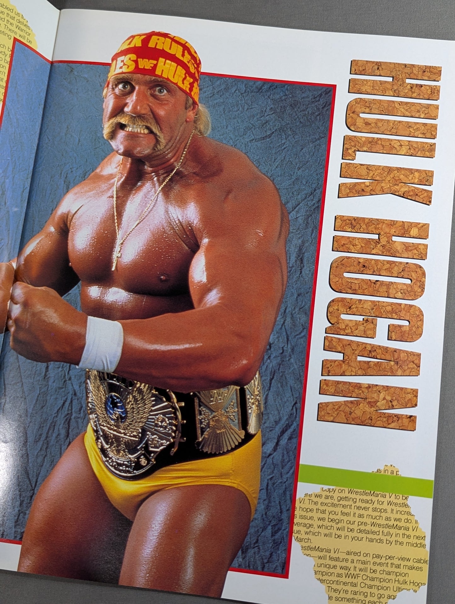 WWF, All Japan, New Japan Pro Wrestling  / Japan-US Wrestling Summit