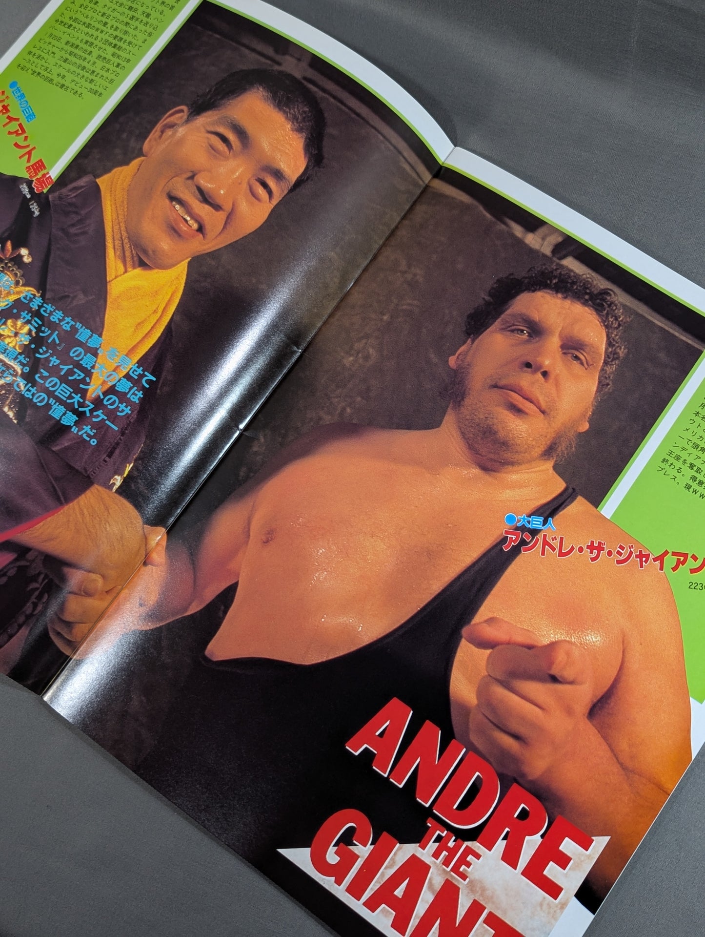 WWF, All Japan, New Japan Pro Wrestling  / Japan-US Wrestling Summit