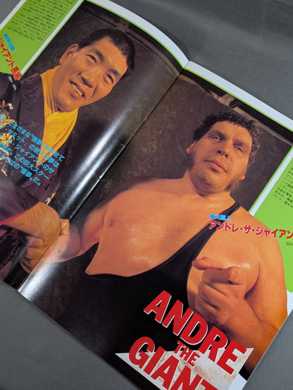WWF, All Japan, New Japan Pro Wrestling  / Japan-US Wrestling Summit