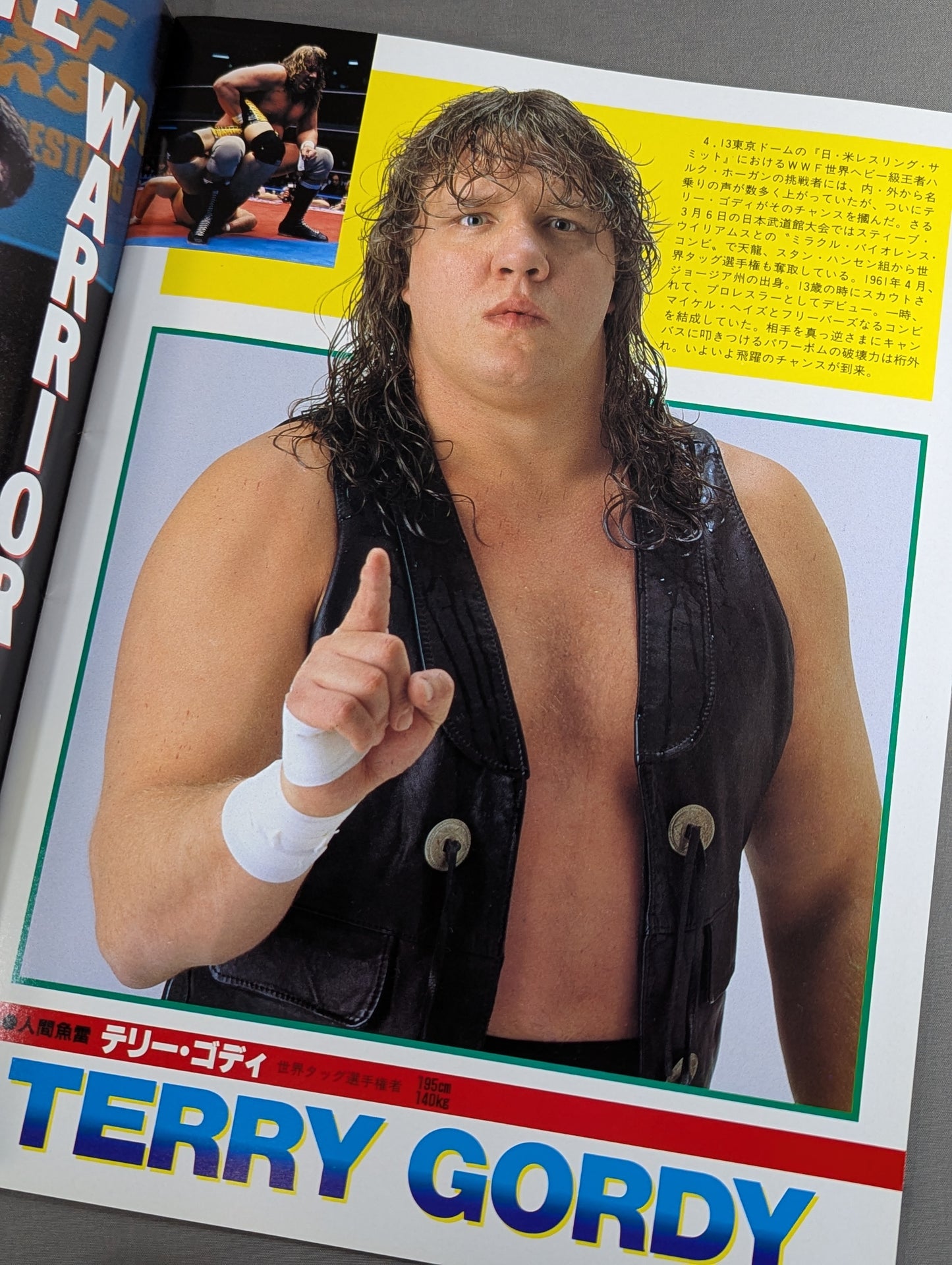 WWF, All Japan, New Japan Pro Wrestling  / Japan-US Wrestling Summit