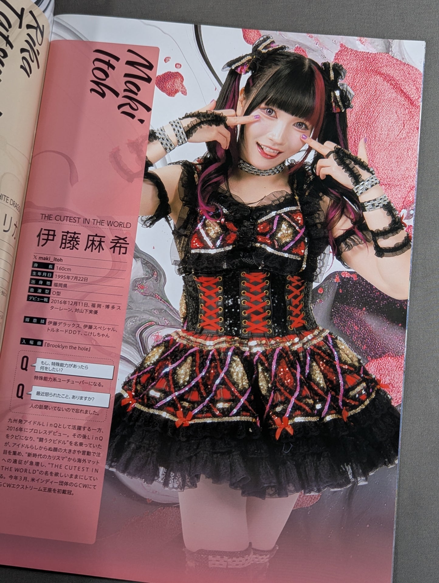 Tokyo Joshi Pro Wrestling Official Program TJPW Vol.23