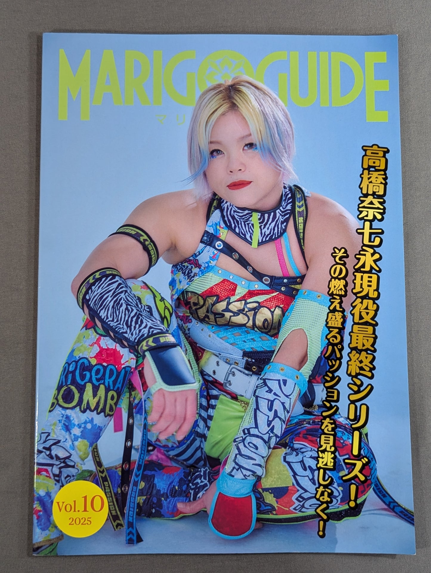 MARIGOLD GUIDE BOOK Vol.13