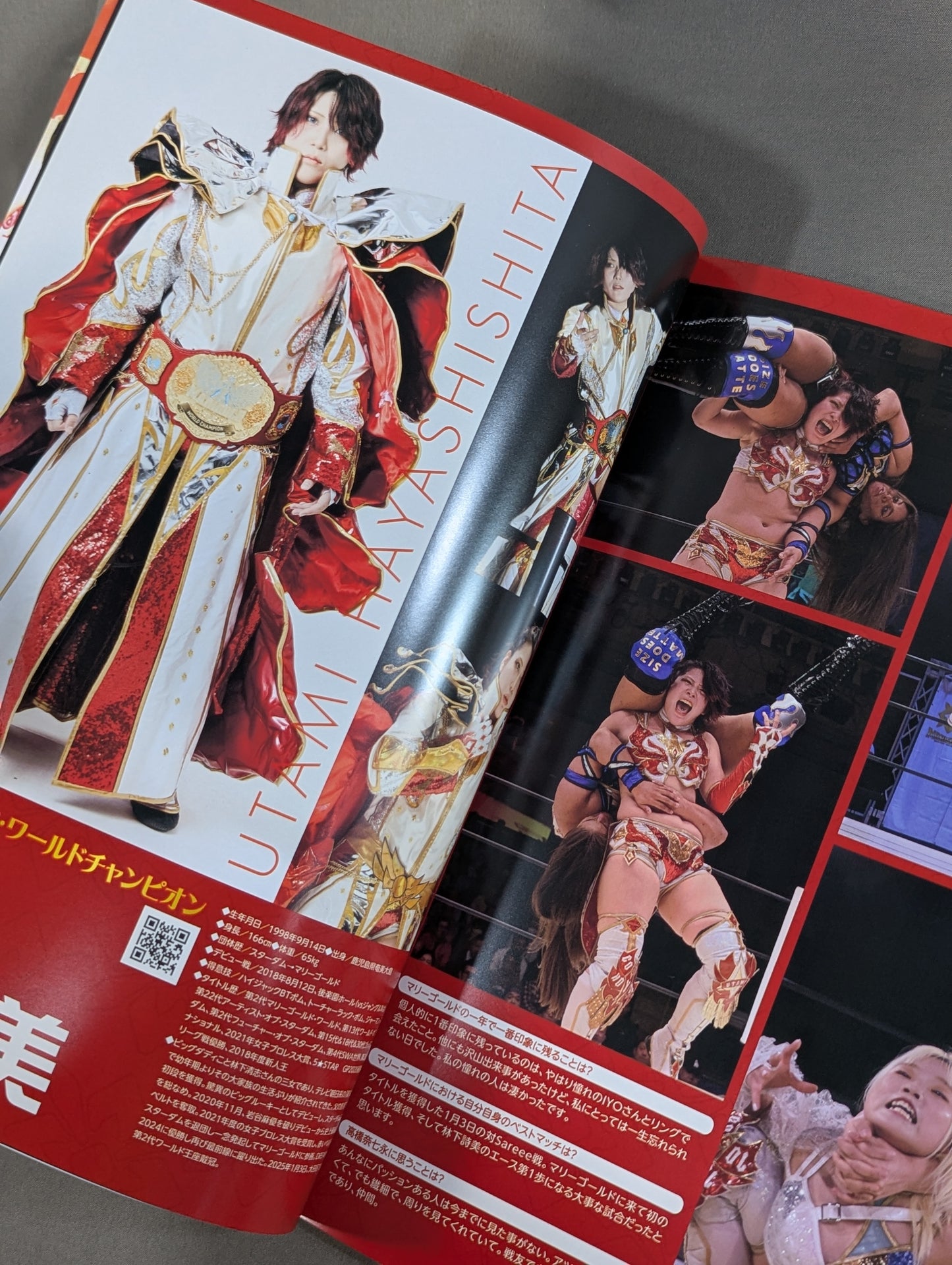 MARIGOLD GUIDE BOOK Vol.13