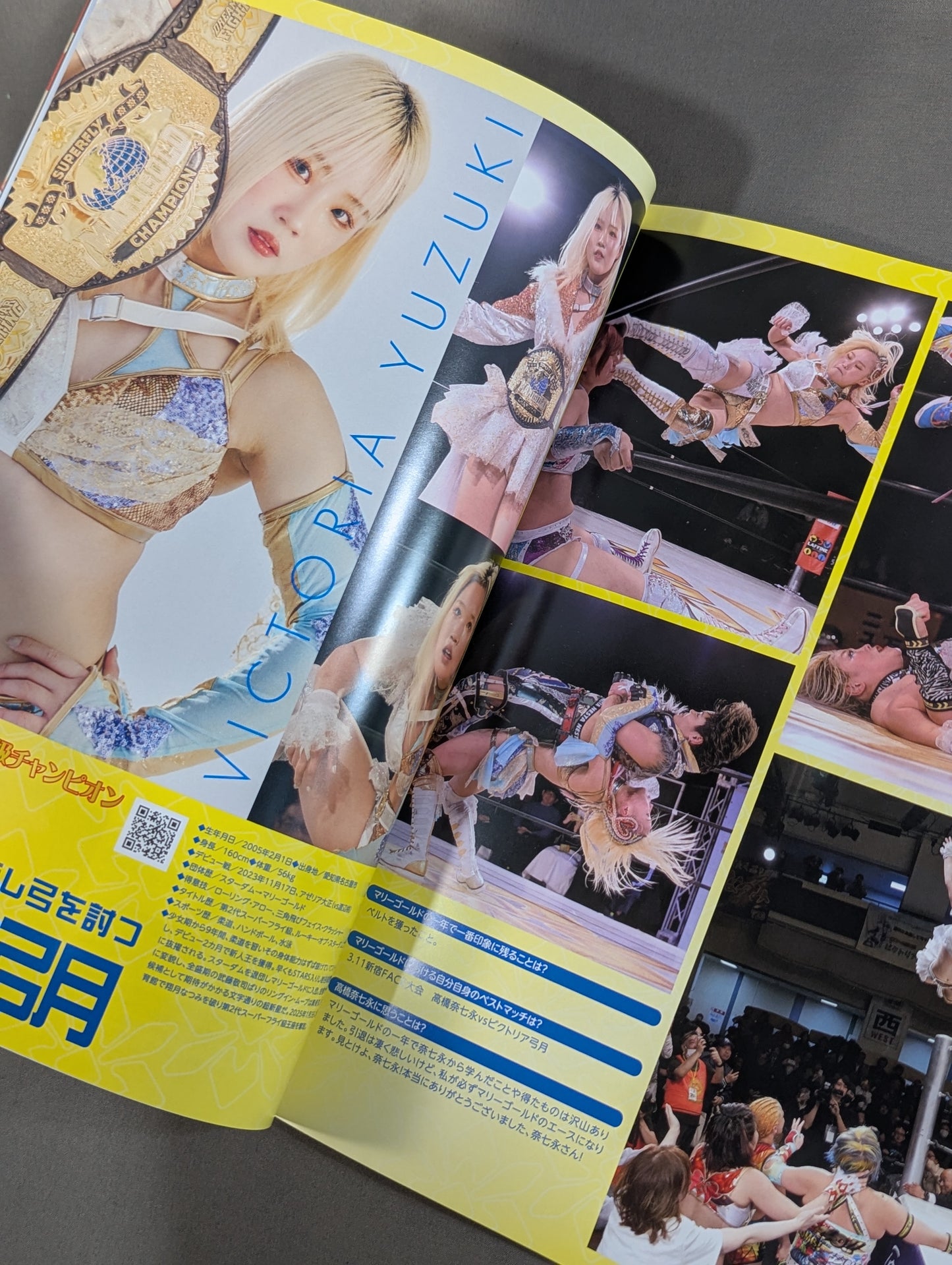 MARIGOLD GUIDE BOOK Vol.13