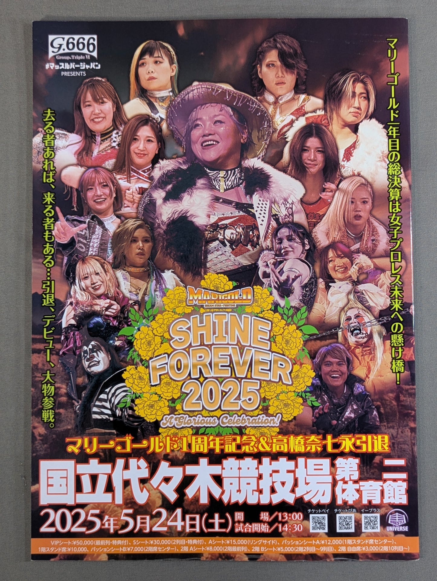 MARIGOLD GUIDE BOOK Vol.13