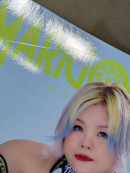 MARIGOLD GUIDE BOOK Vol.13