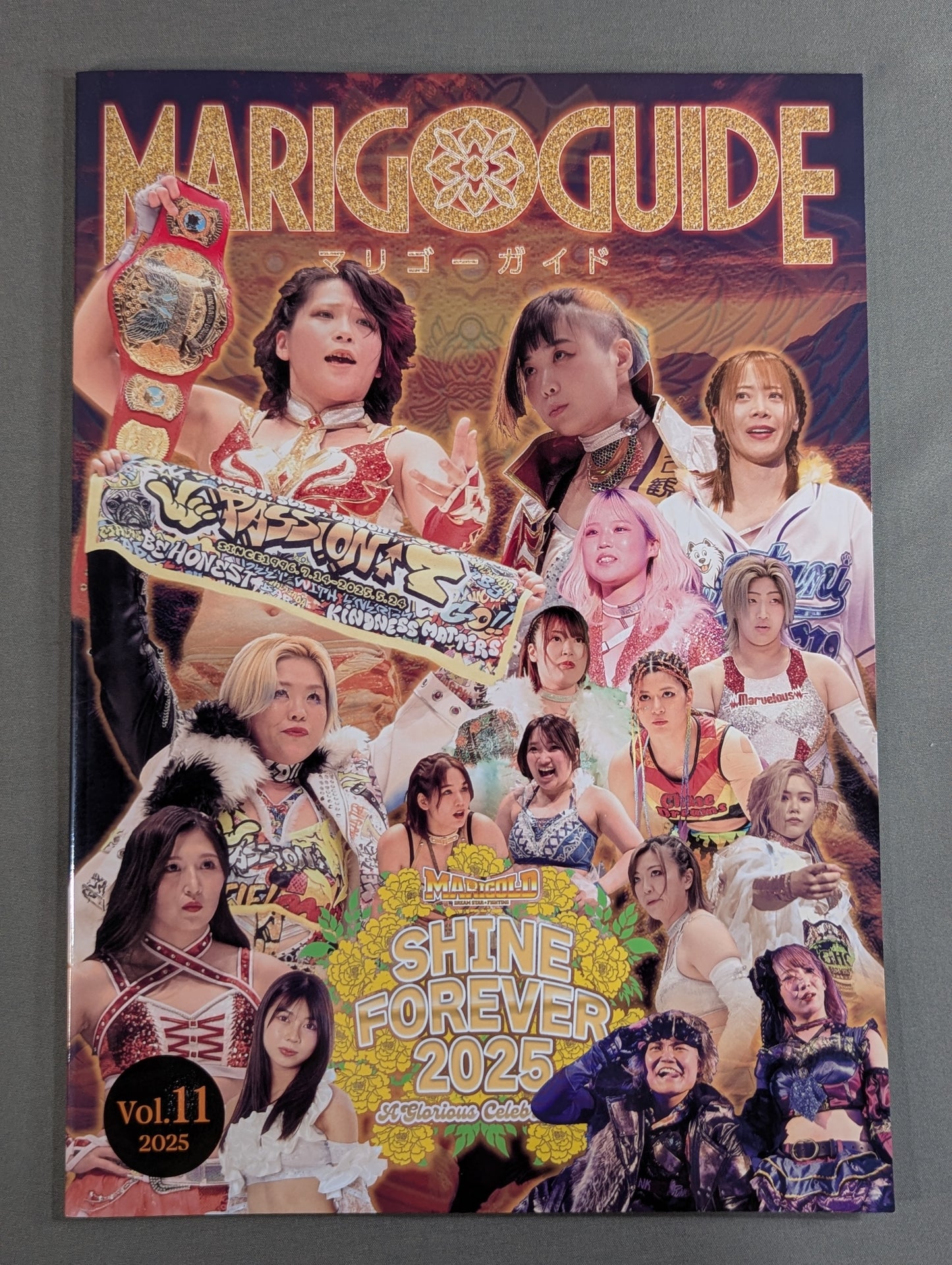 MARIGOLD GUIDE BOOK Vol.11 SHINE FOREVER 2025