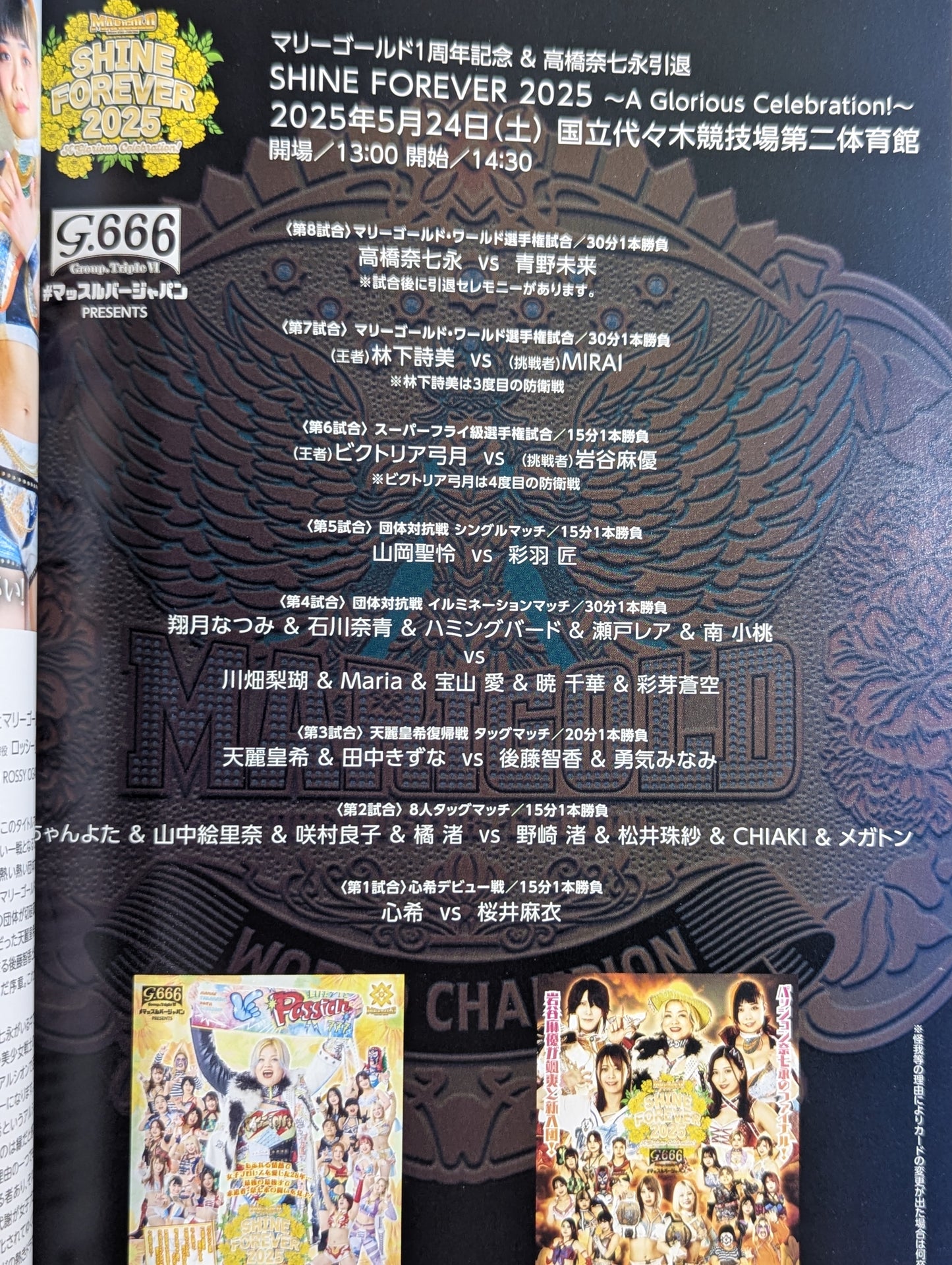 MARIGOLD GUIDE BOOK Vol.11 SHINE FOREVER 2025