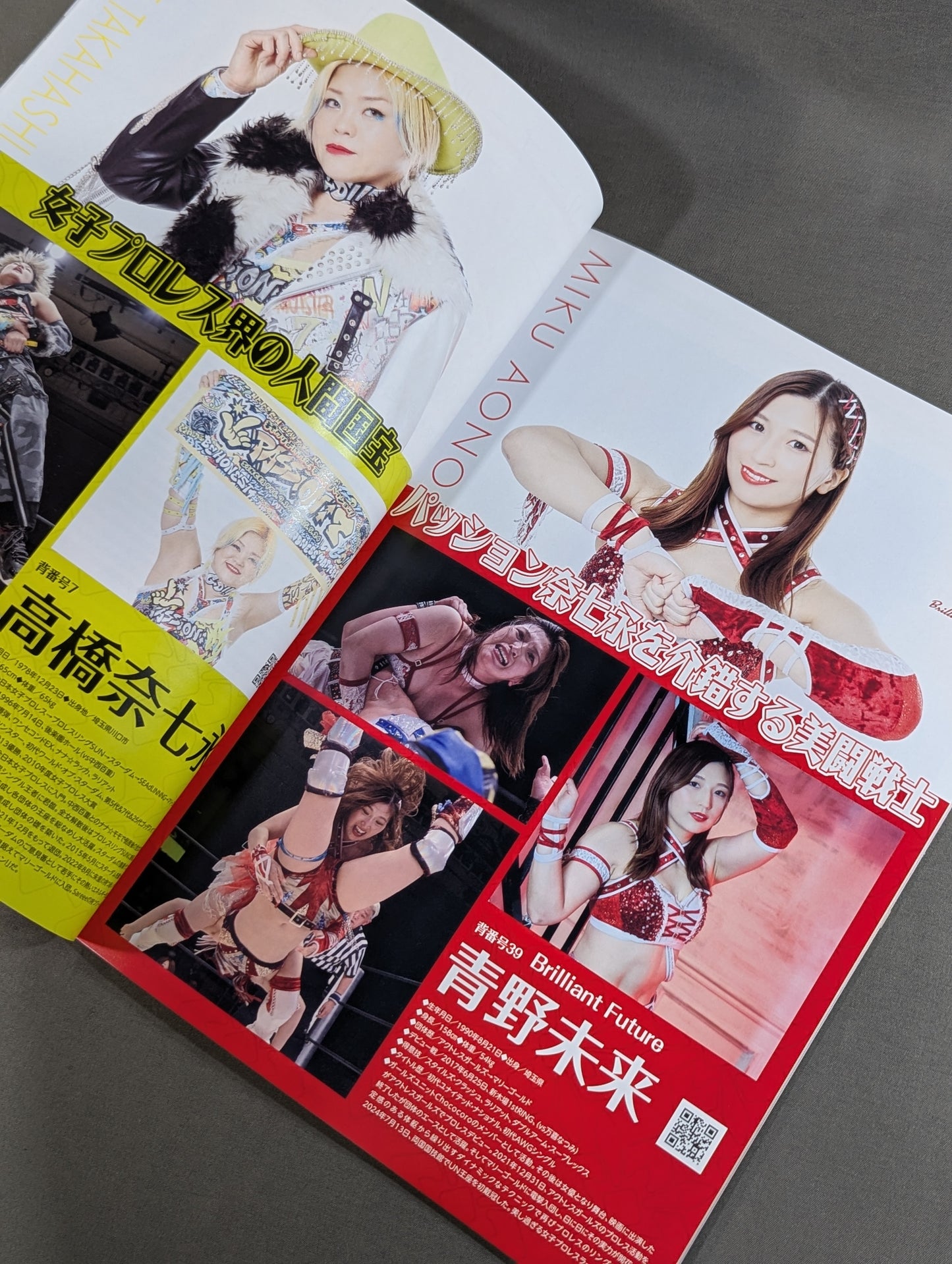 MARIGOLD GUIDE BOOK Vol.11 SHINE FOREVER 2025