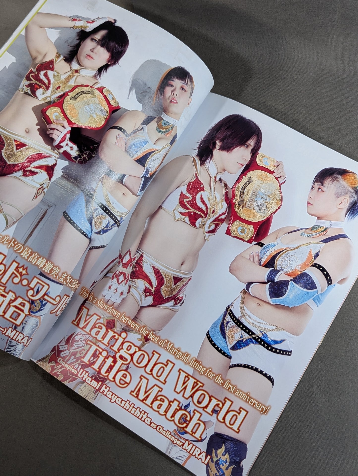 MARIGOLD GUIDE BOOK Vol.11 SHINE FOREVER 2025