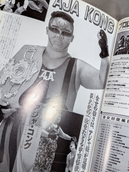 Ringstar PROGRAM 1993 / LAST SUMMER & AUTUMN SPECIAL