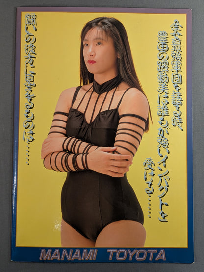Ringstar PROGRAM 1993 / LAST SUMMER & AUTUMN SPECIAL
