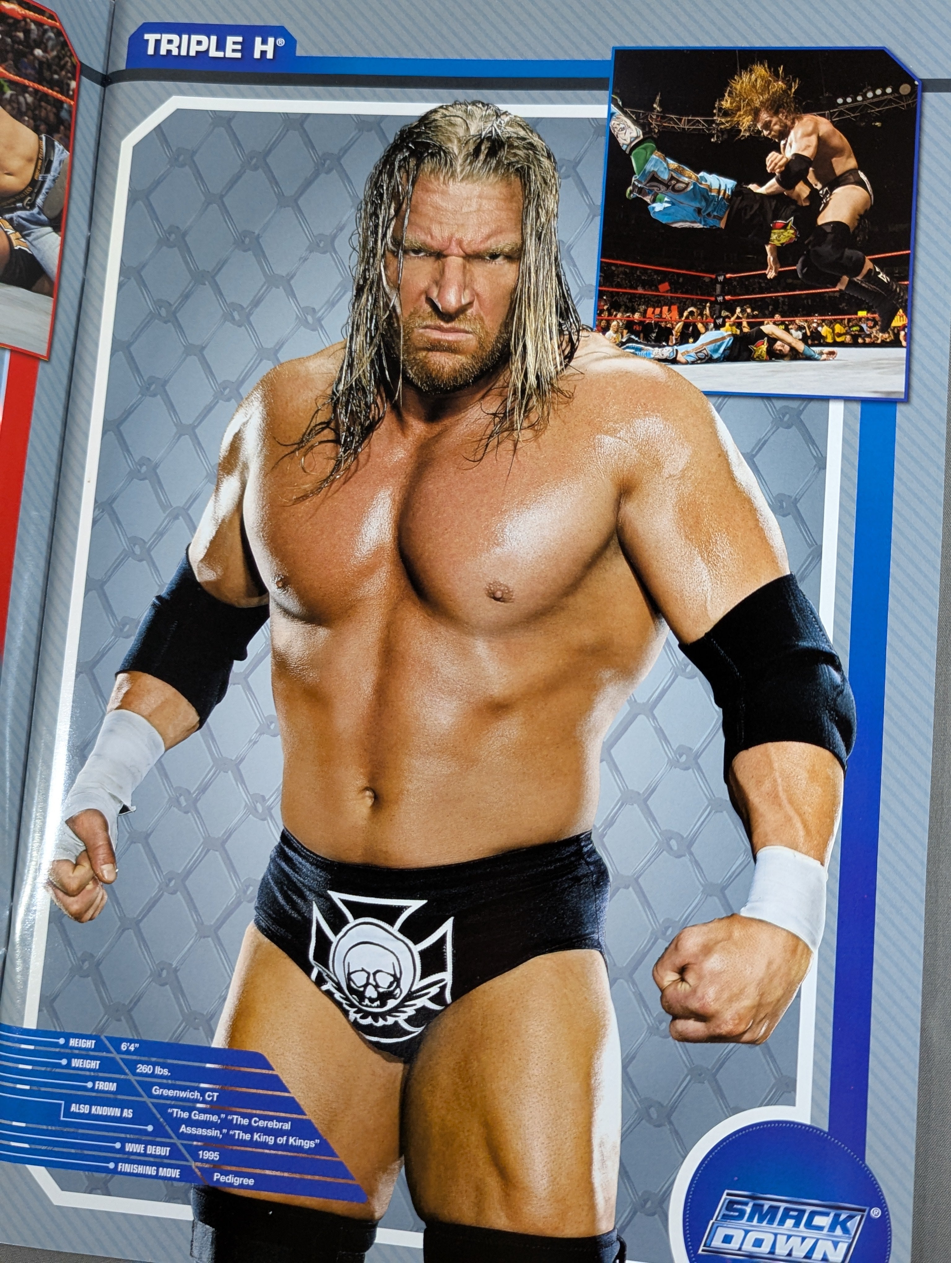 WWE OFFICIAL SOUVENIR PROGRAM 2008② – 闘道館