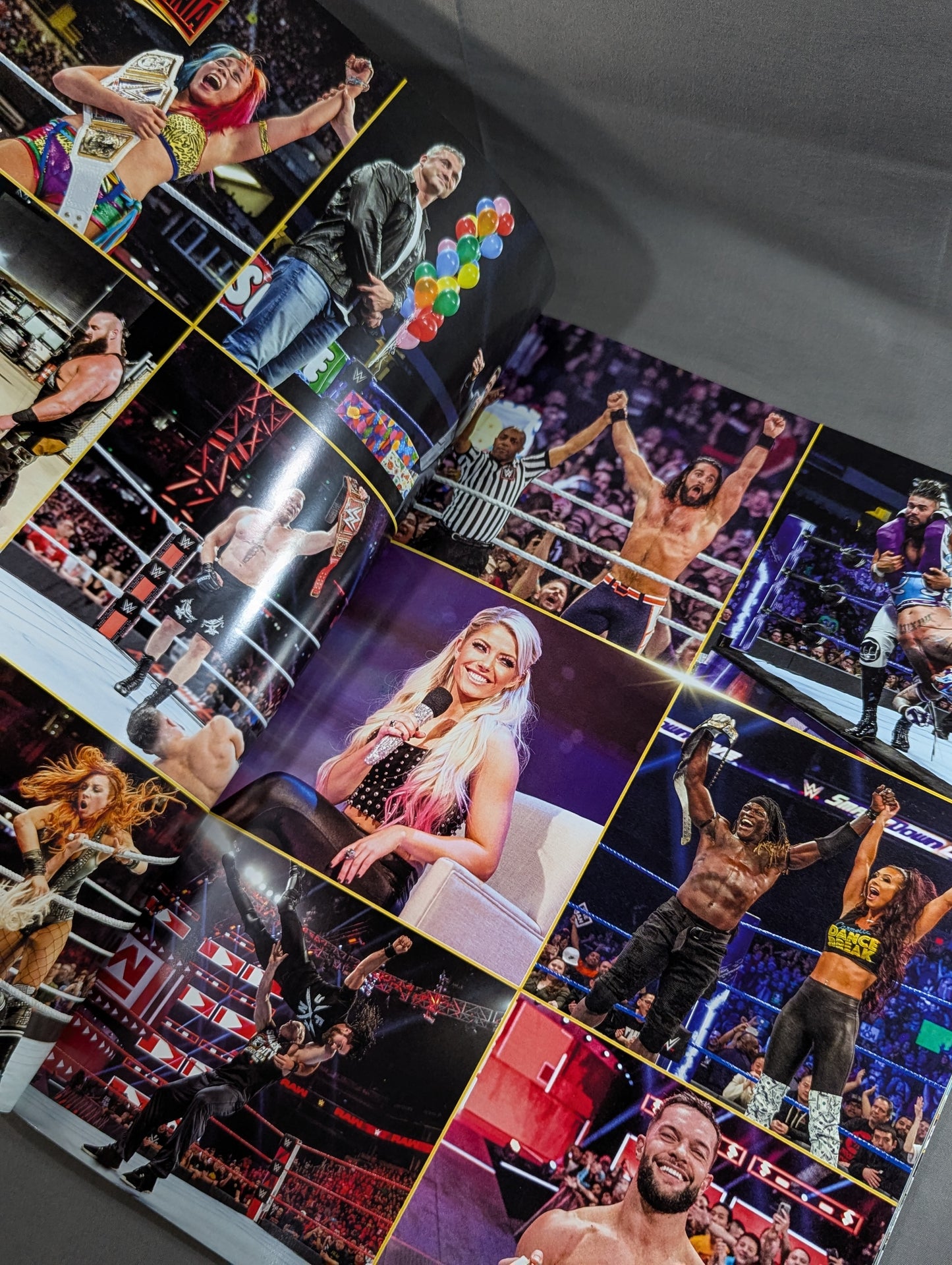 WWE / HALL OF FAME 2019＆WRESTLEMANIA 35