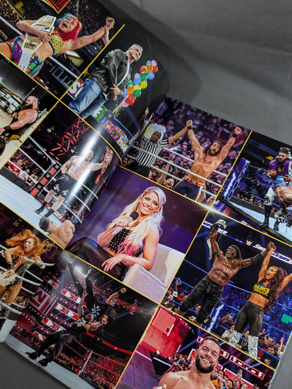WWE / HALL OF FAME 2019＆WRESTLEMANIA 35