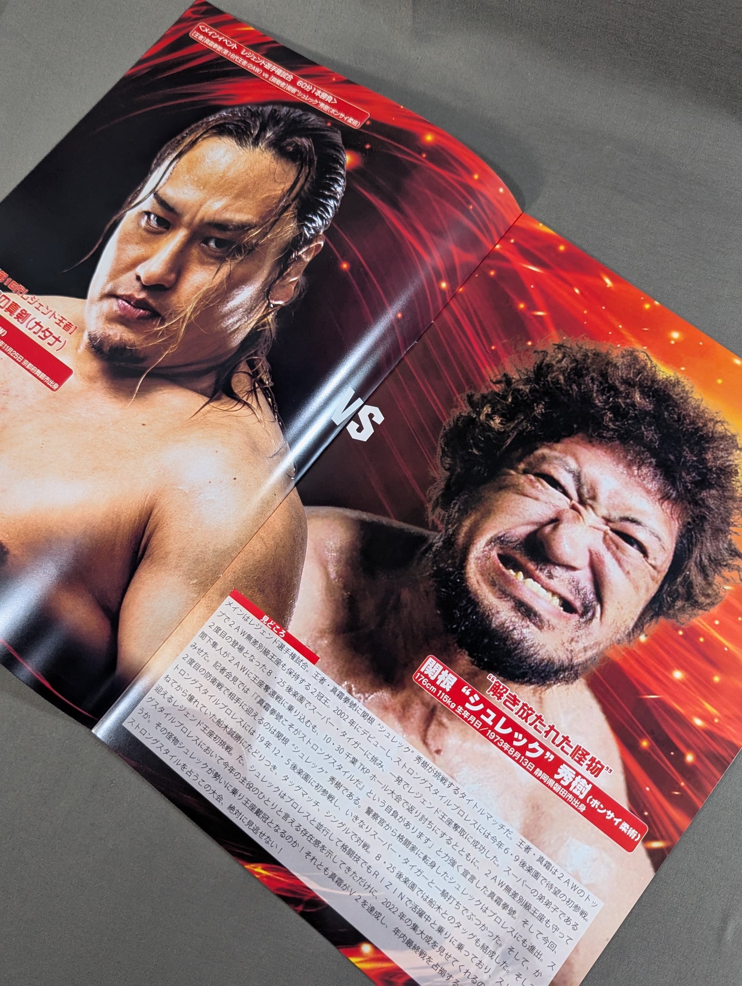 Strong Style Pro Wrestling Vol.20