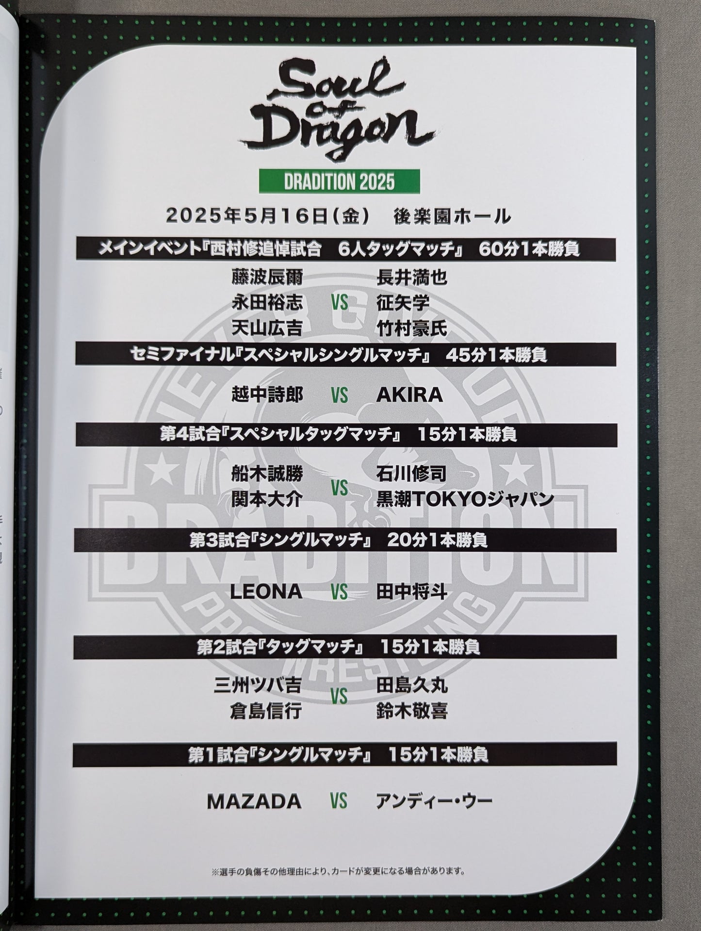 Soul of Dragon 2025