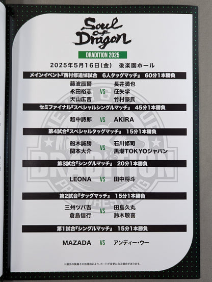 Soul of Dragon 2025