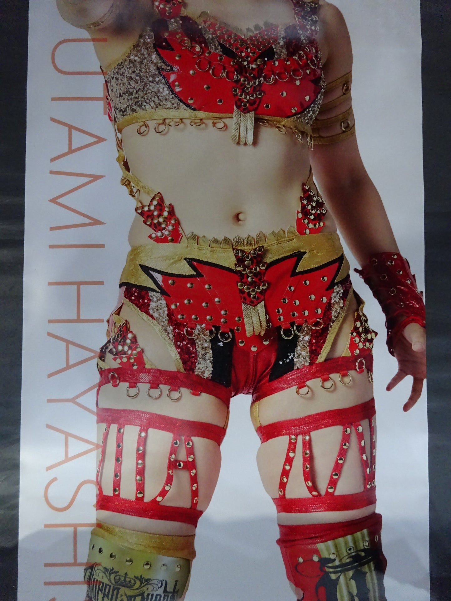 Utami Hayashishita Life-Size Tapestry 2022 Vol.2