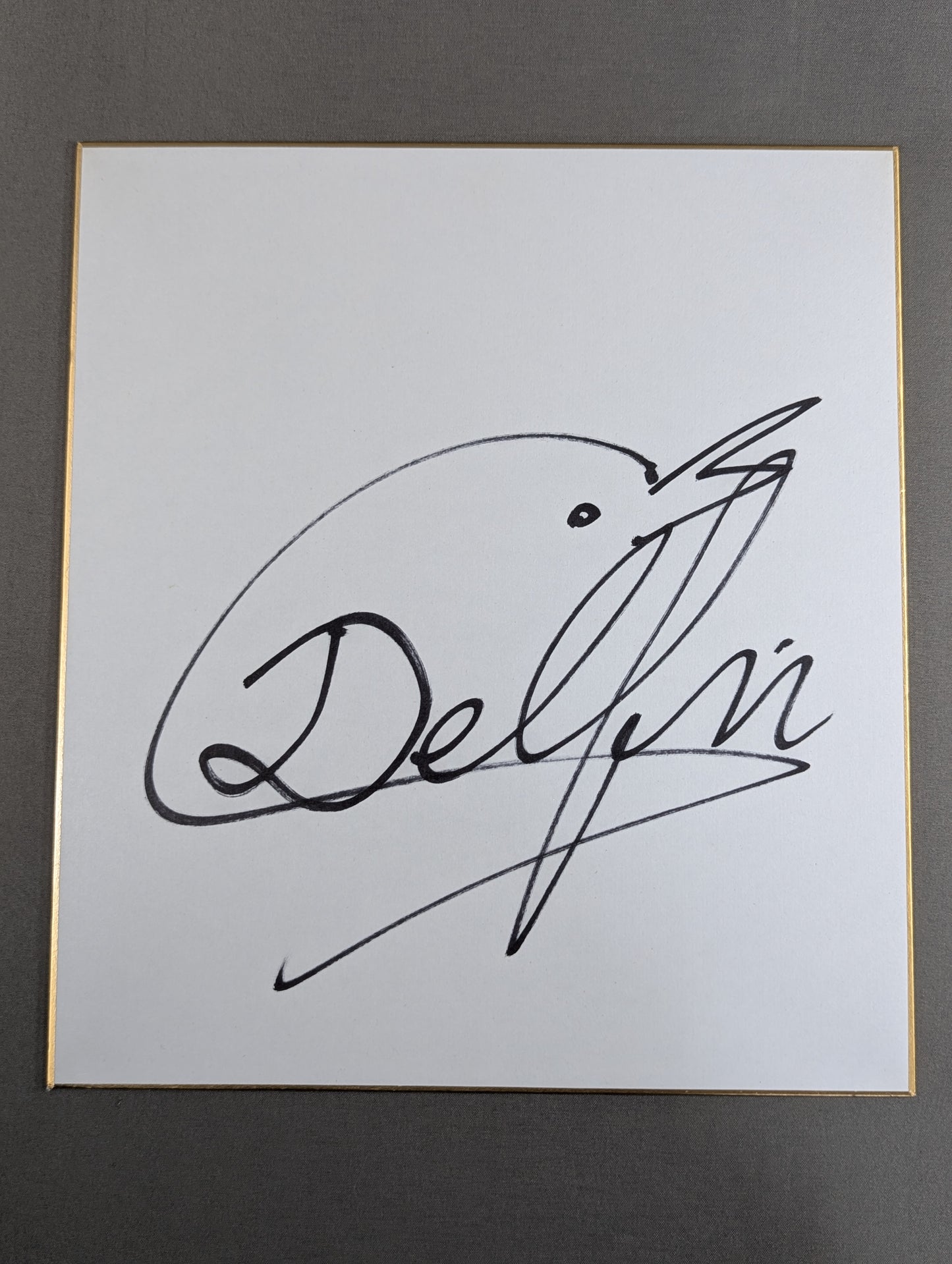 Super Delfin 
