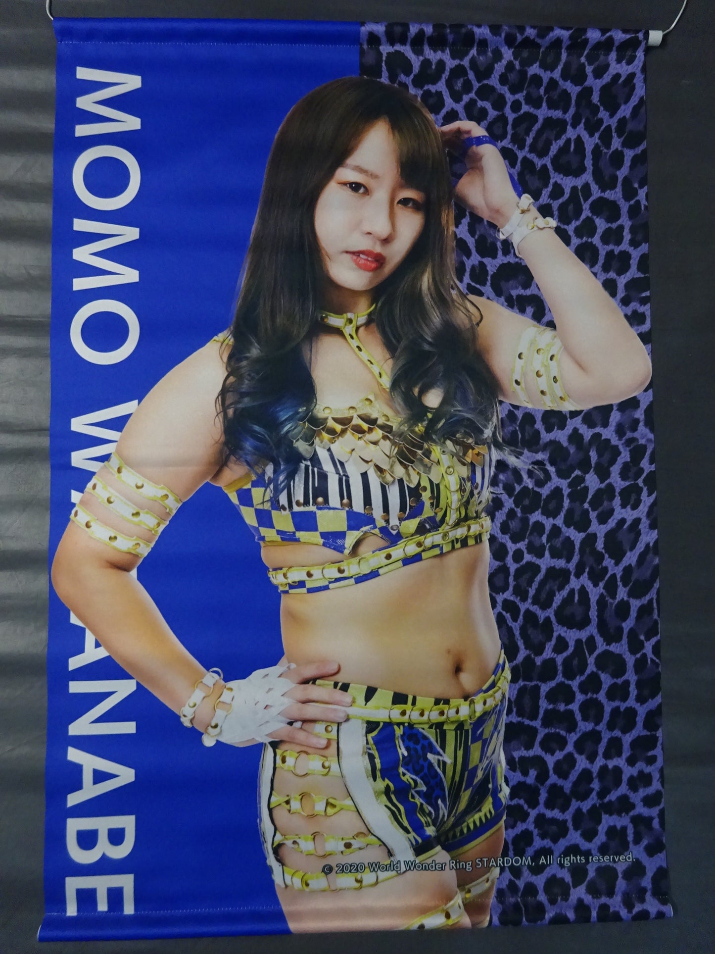 AppBank Store exclusive Momo Watanabe  Tapestry