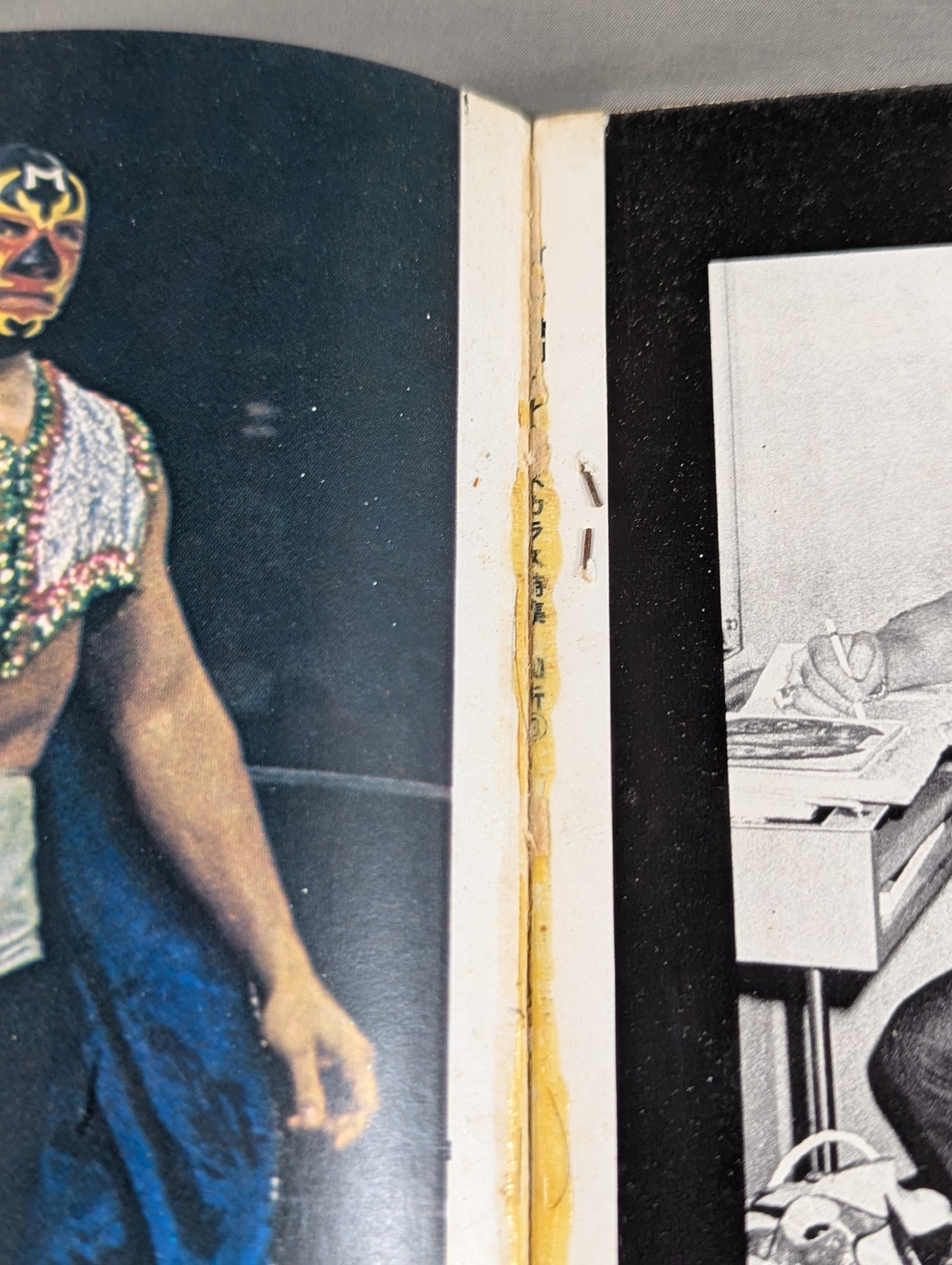Mil Mascaras  Its Brilliant World