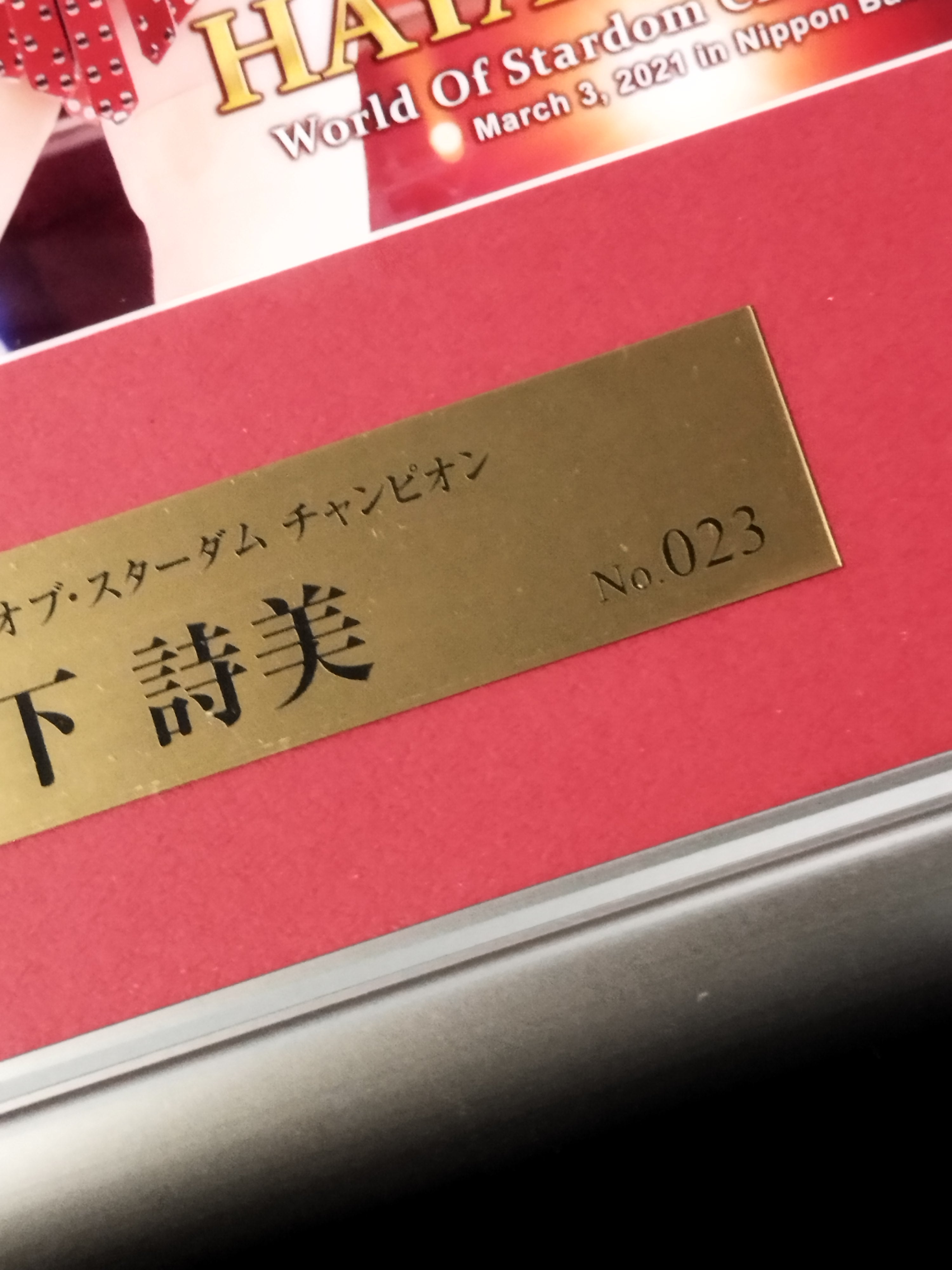 林下詩美 直筆サイン入り 記念フォトフレーム (vs上谷沙弥戦) – 闘道館