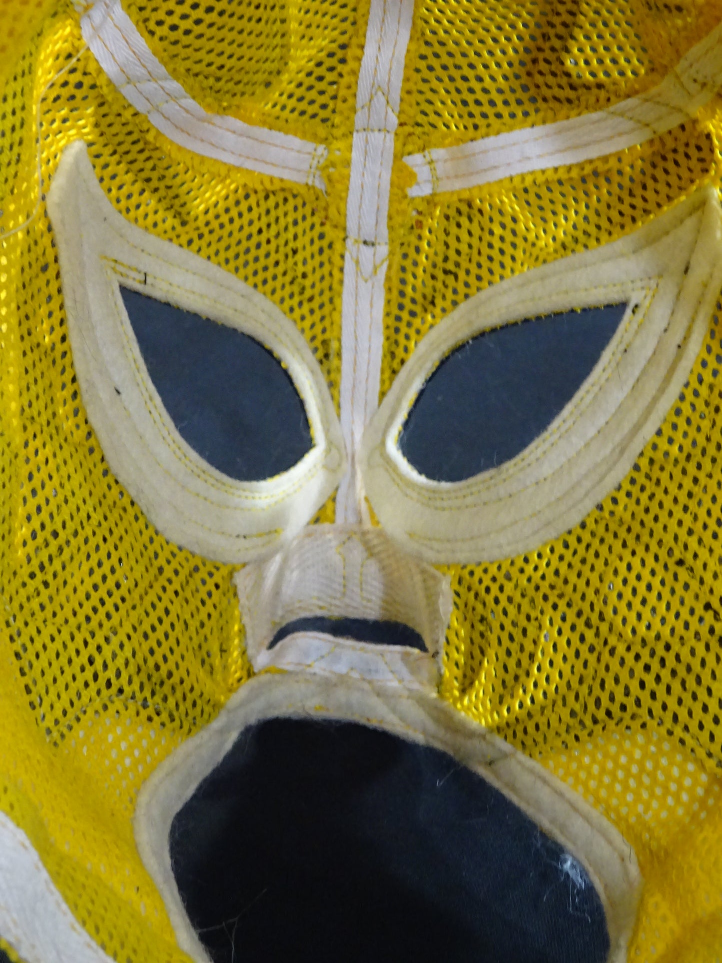 The first Tiger Mask