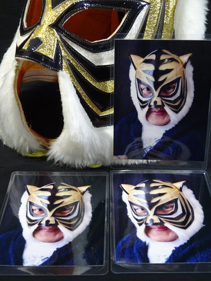 4th  Tiger Mask
