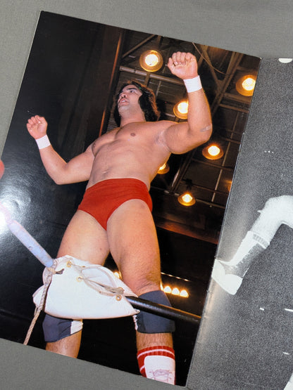 リッキー・スティムボート カラー・アルバム / RICKY STEAMBOAT COLOR ALBUM
