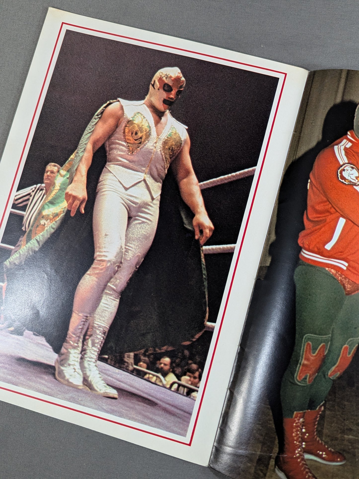 Mil Mascaras  Color Album / MIL MASCARAS COLOR ALBUM (Gong June Special Issue Appendix)