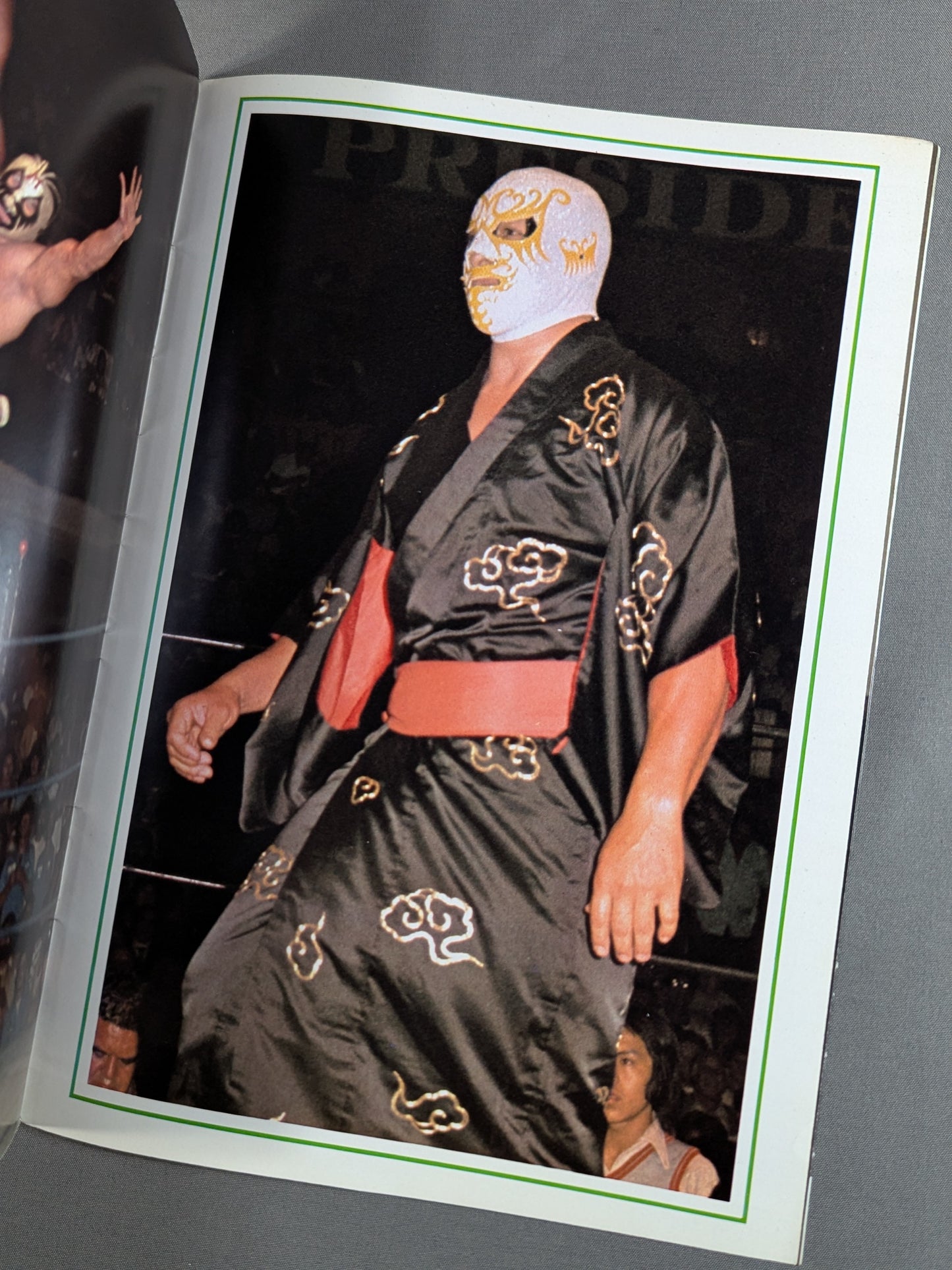Mil Mascaras  Color Album / MIL MASCARAS COLOR ALBUM (Gong June Special Issue Appendix)