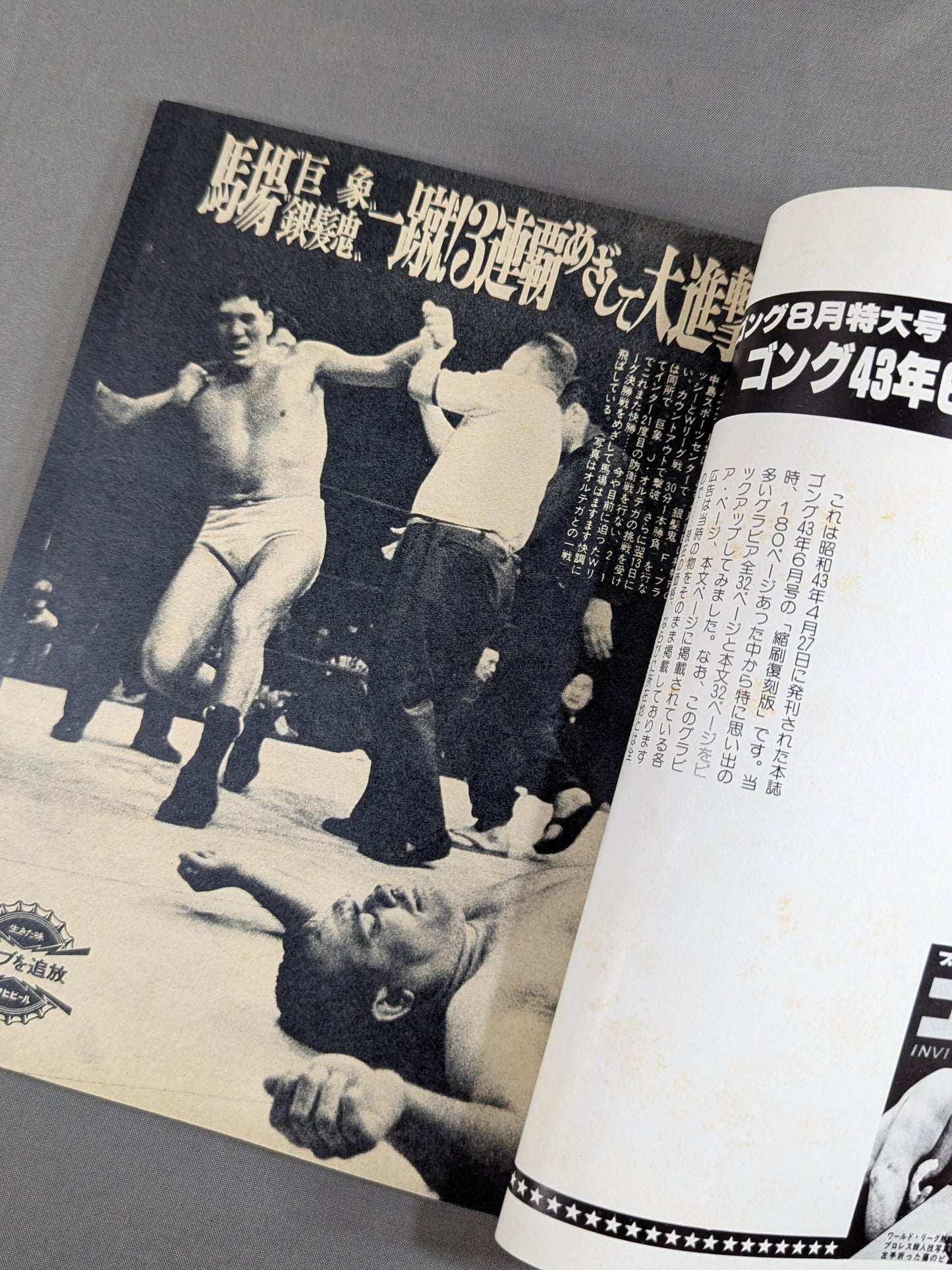 月刊ゴング 43年6月号【縮刷復刻版】