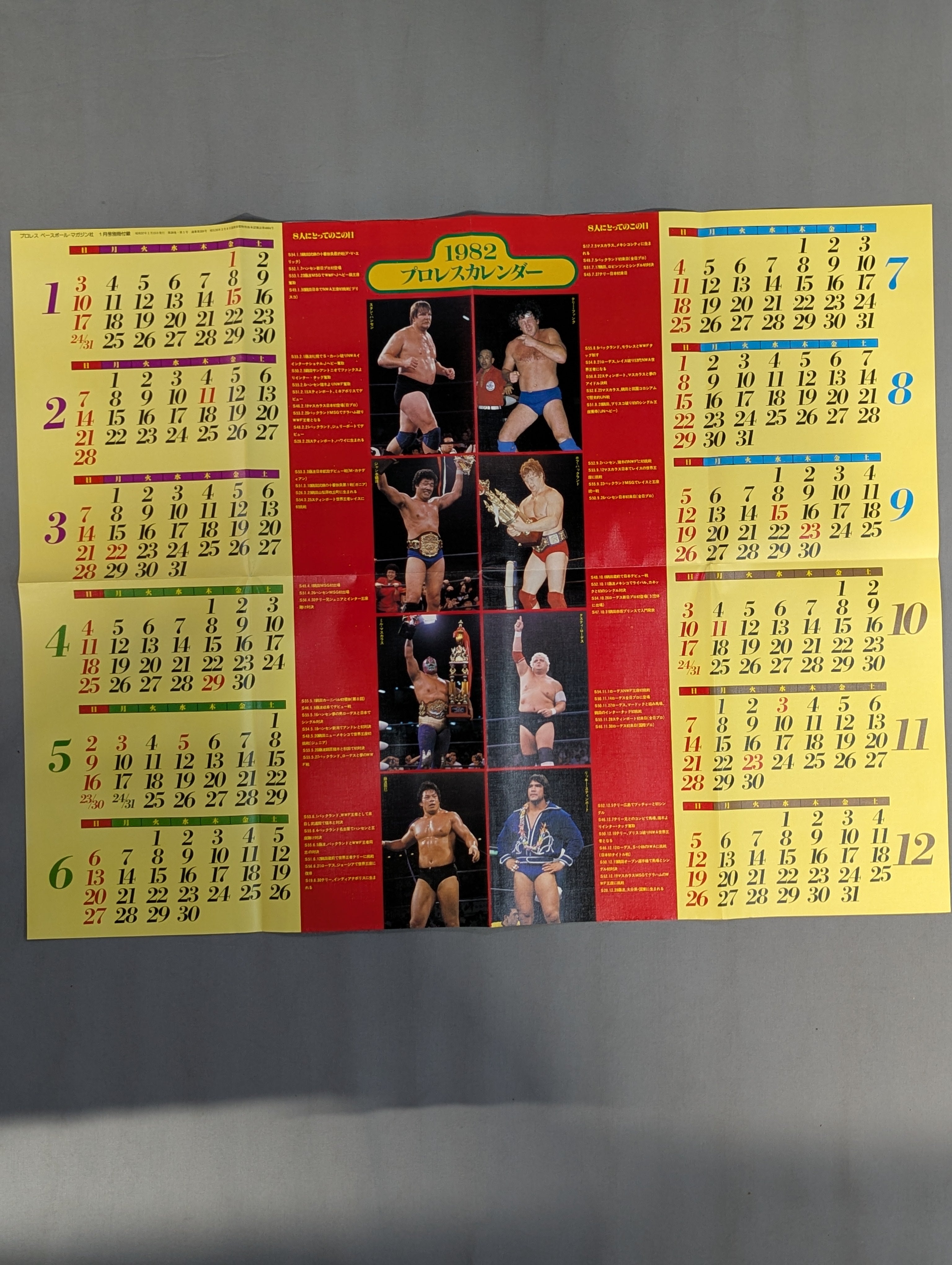 1982年 プロレスカレンダー – 闘道館