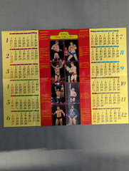 1982年 プロレスカレンダー – 闘道館