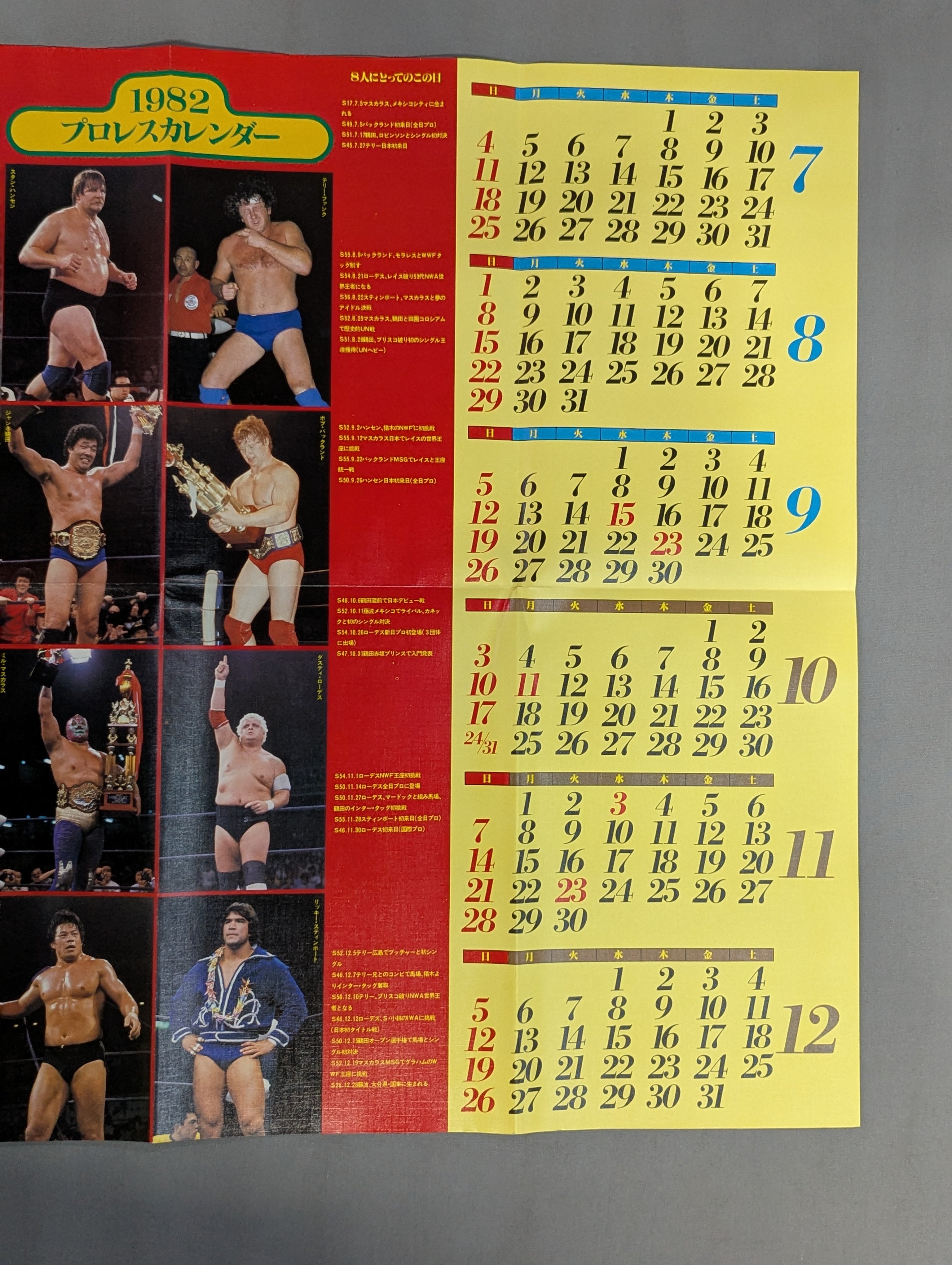 1982年 プロレスカレンダー – 闘道館