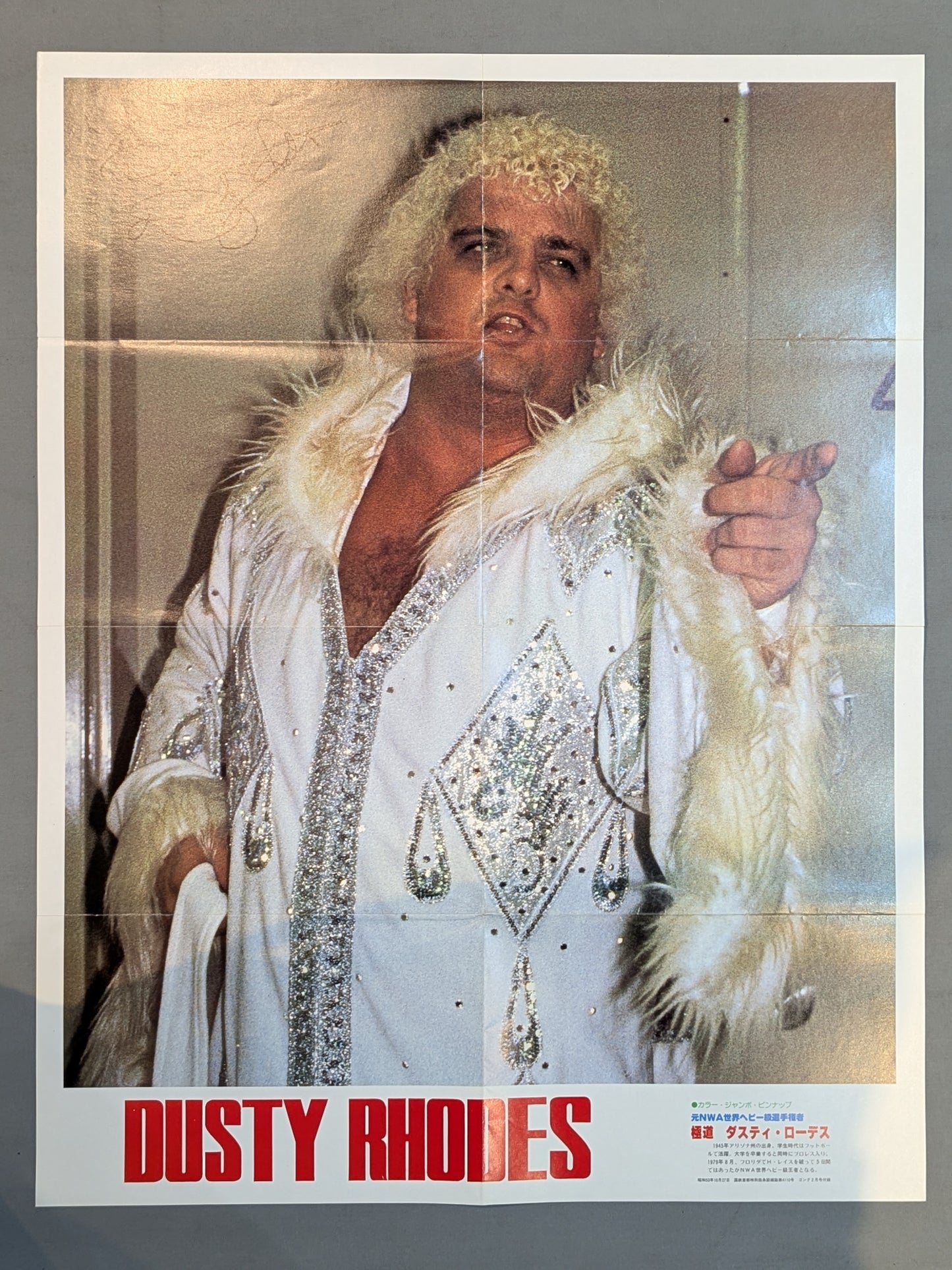 ダスティ・ローデス 雑誌付録ポスター①