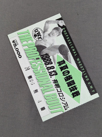 真夏の格闘技戦 THE PROFESSIONAL BOUT