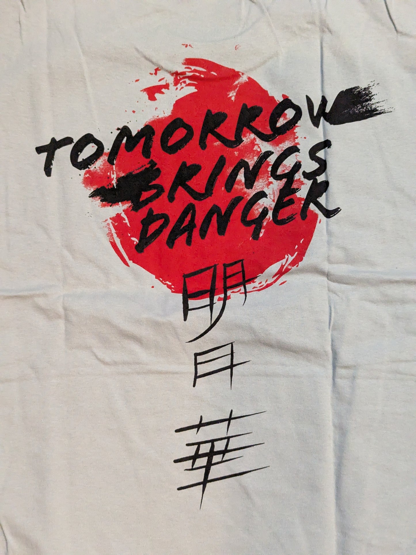 Asuka 'TOMORROW DANGER' T-shirt (WWE (2016) / Gray)