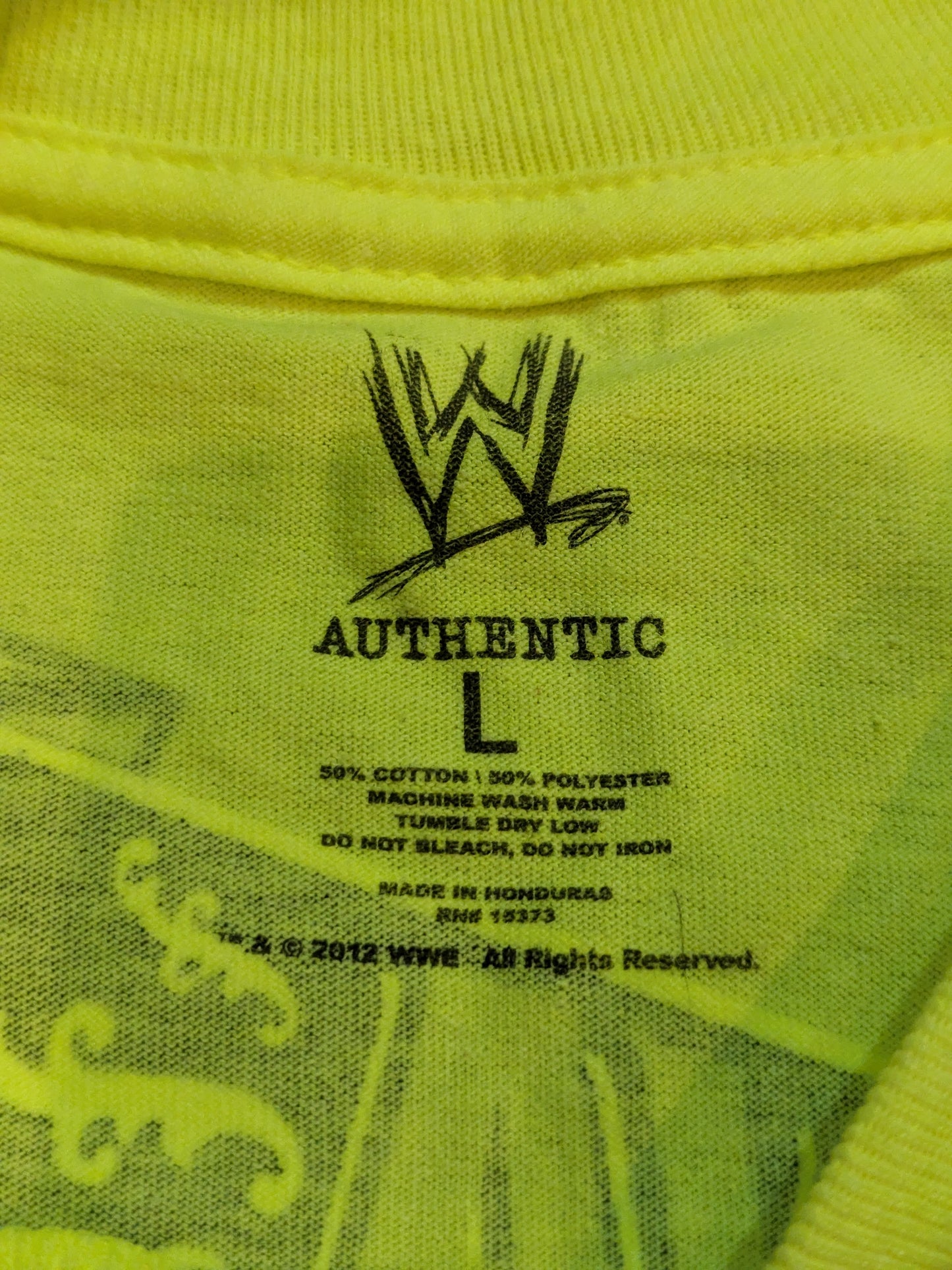 Alberto Del Rio "BORN IN MEXICO / MADE IN AMERICA" T-SHIRT (WWE (2012) / Light Green)