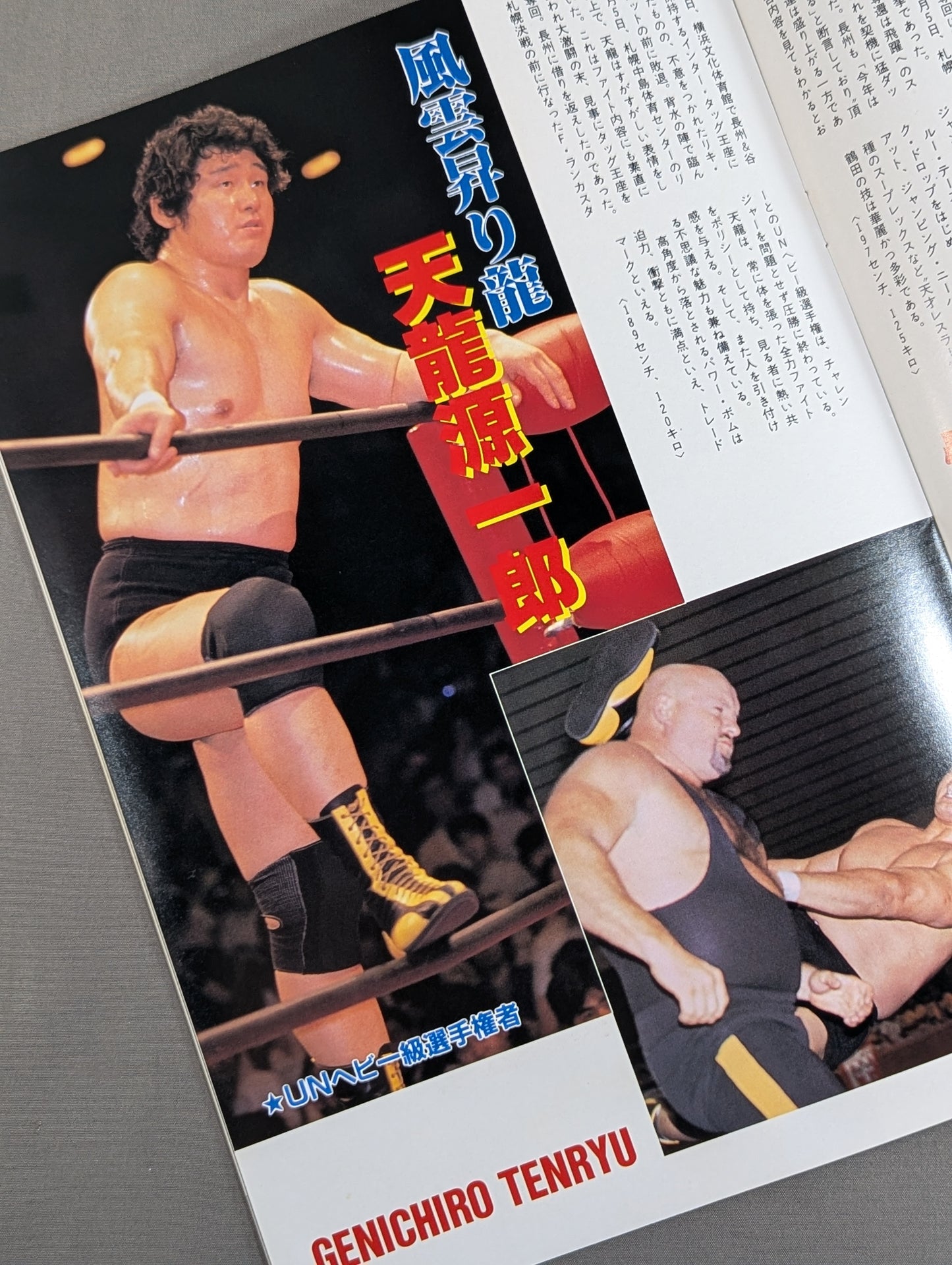 ★ Wajima vs Flair NWA Match ★ 15th Anniversary 87 Excite Series [Final Match]