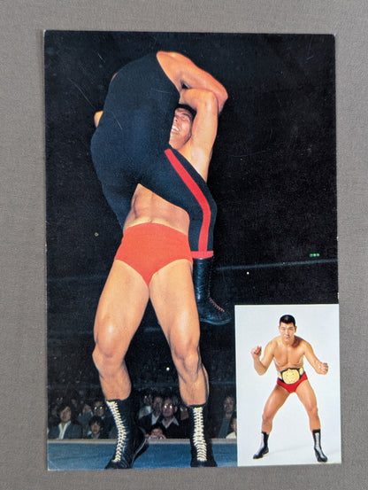 Seiji Sakaguchi Postcard