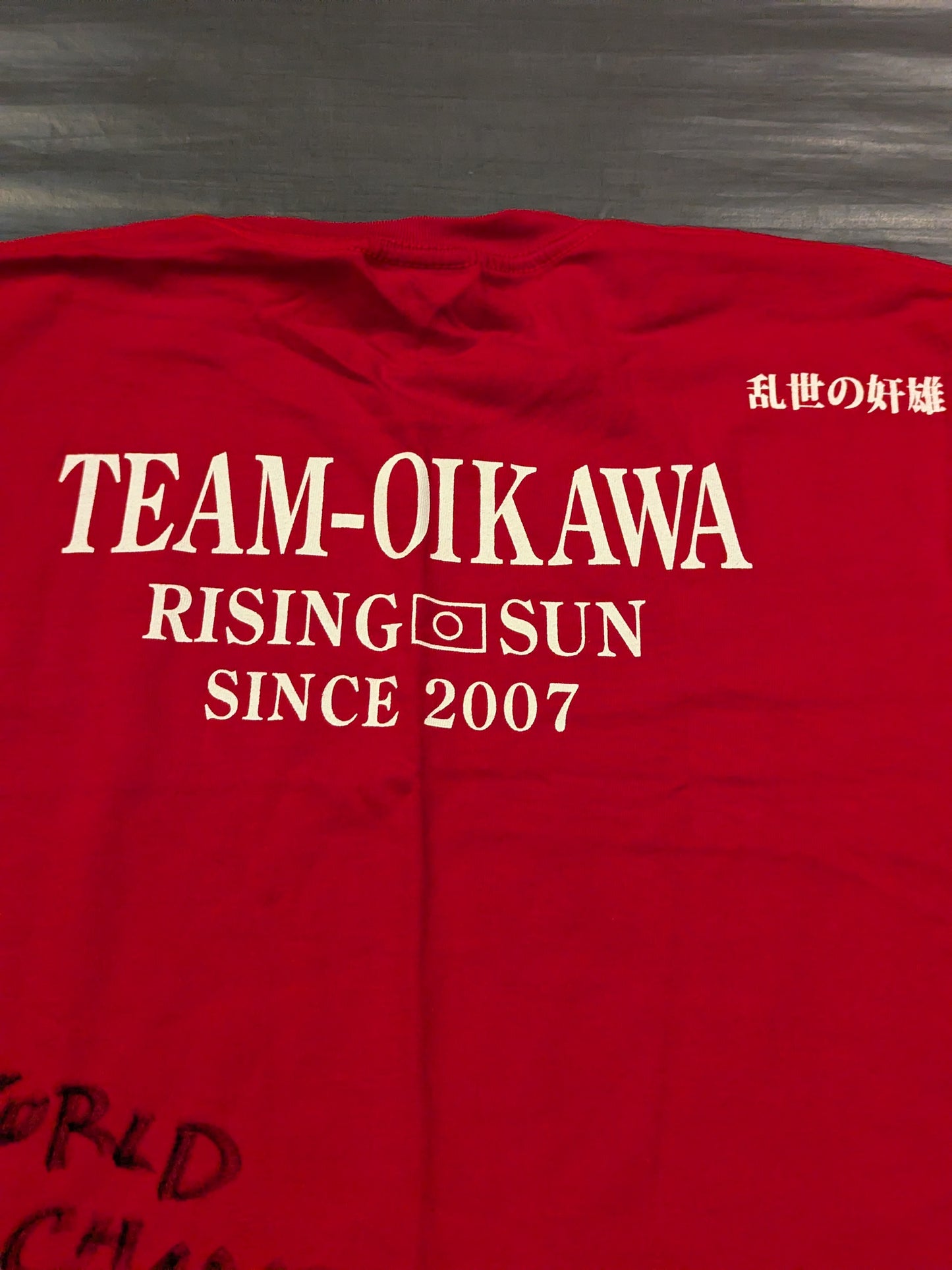 【RENA 直筆サイン入り】TEAM-OKINAWA Tシャツ
