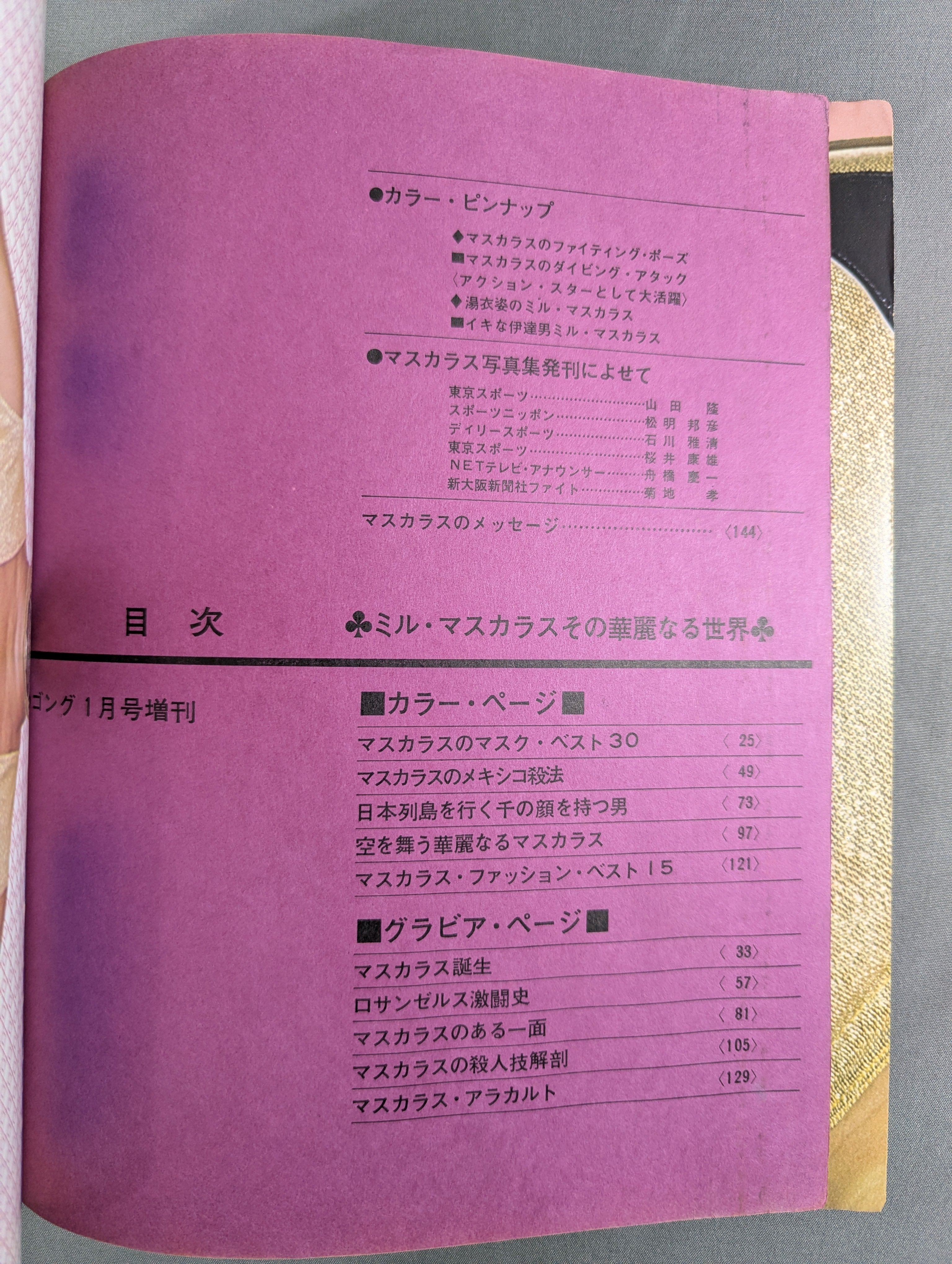 Mil Mascaras Its Brilliant World – 闘道館