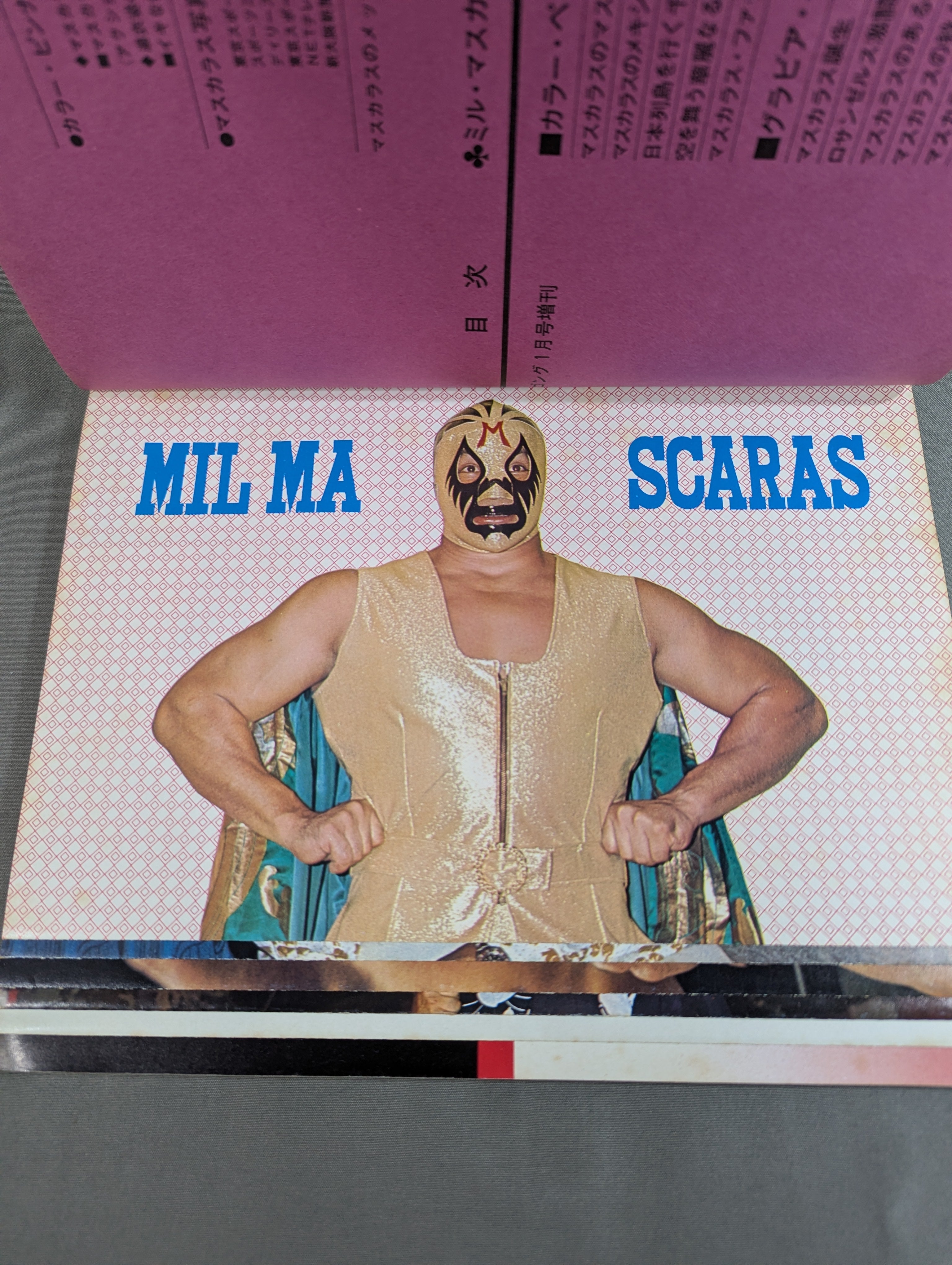 Mil Mascaras Its Brilliant World – 闘道館
