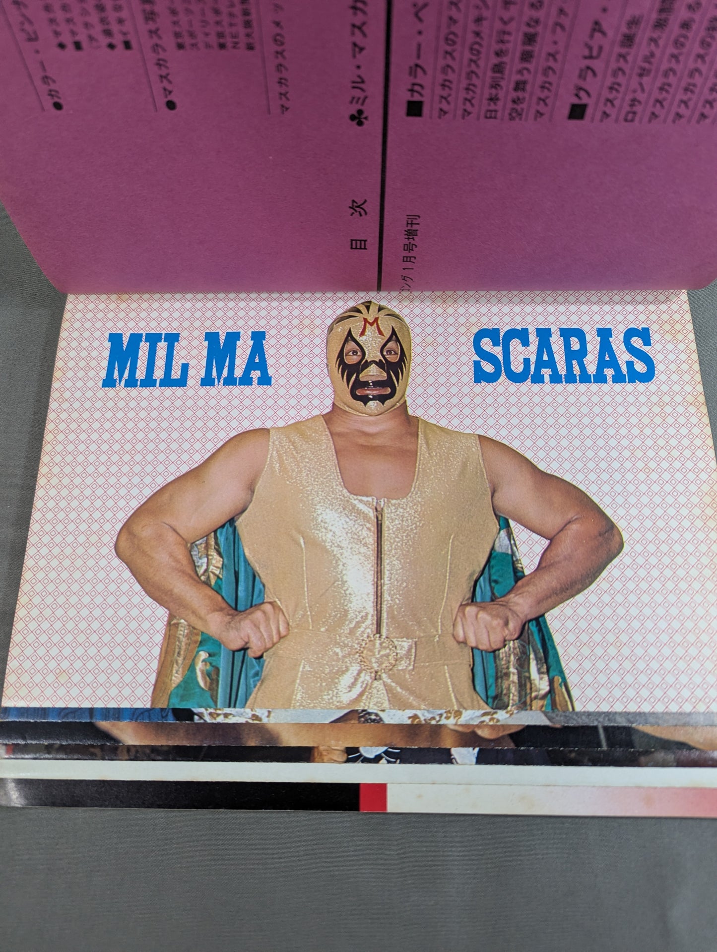 Mil Mascaras  Its Brilliant World