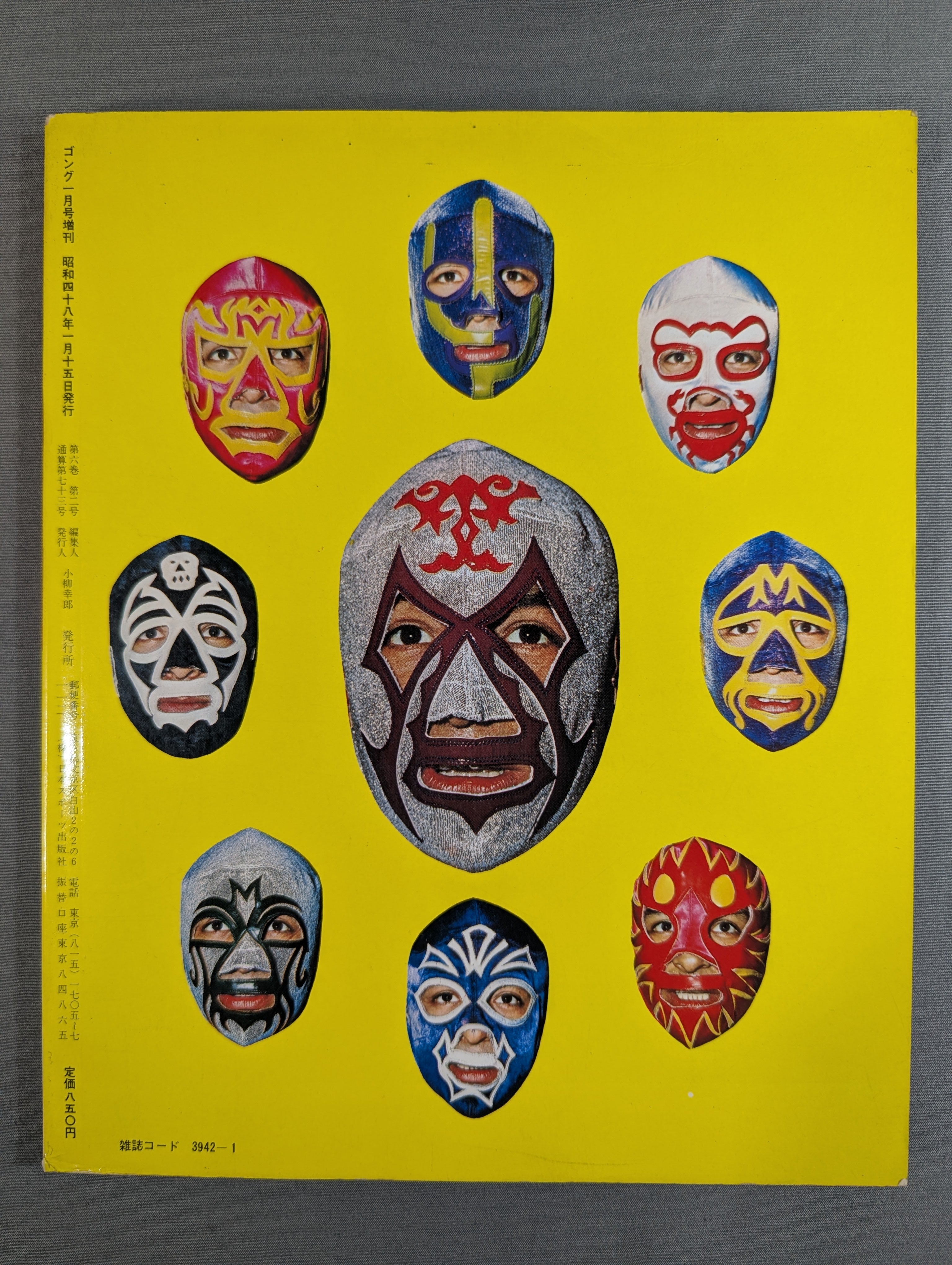 Mil Mascaras Its Brilliant World – 闘道館